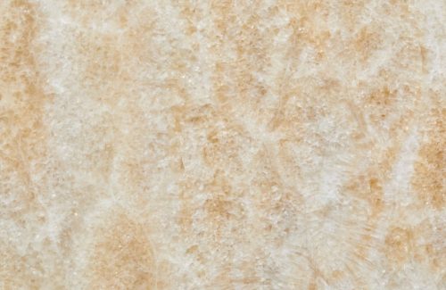 Ivory Onyx