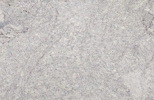Kashmir White