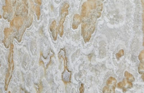 Lifora