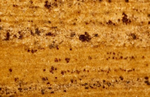 Madura Gold Dark